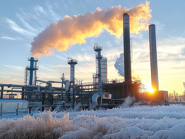 生物質(zhì)電廠對煙氣脫硝系統(tǒng)的要求